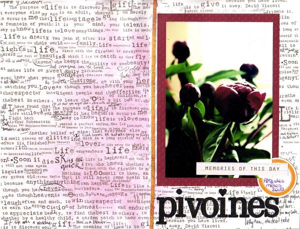 mini_pivoines